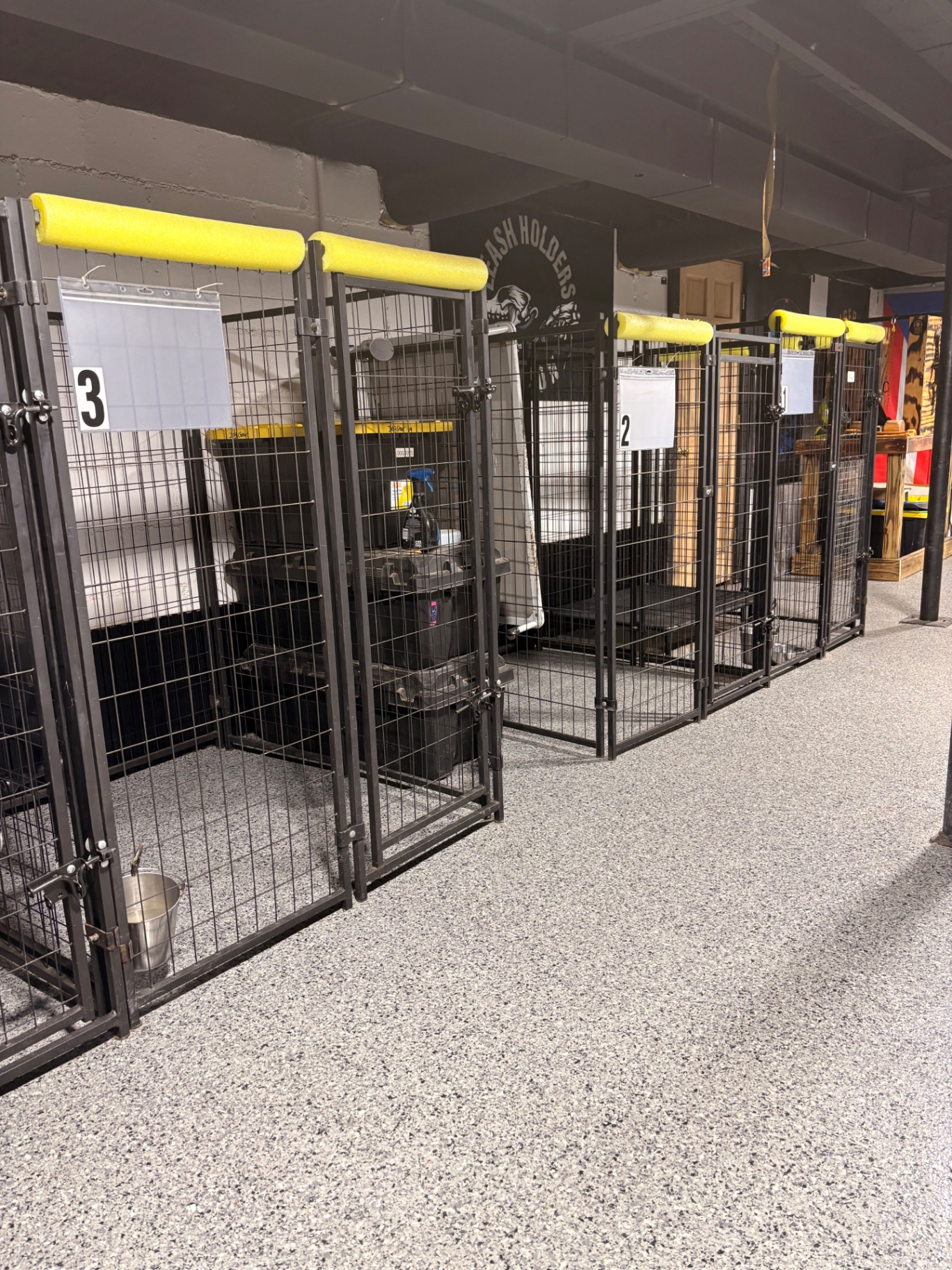 Numbered boarding kennels with raised cots and food buckets inside the ACT K9 boarding room