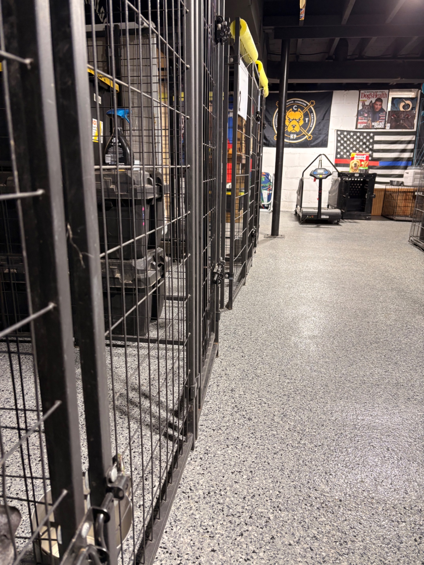 Row of black boarding kennels along the wall of the ACT K9 facility